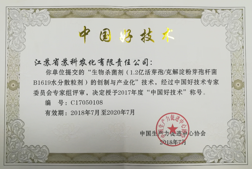 中國(guó)好技術(shù)1