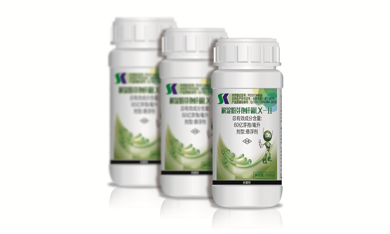 60億芽孢/毫升解淀粉芽孢桿菌Lx-11懸浮劑