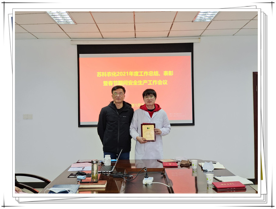 公司召開年度工作總結、表彰暨春節(jié)期間安全生產工作會議