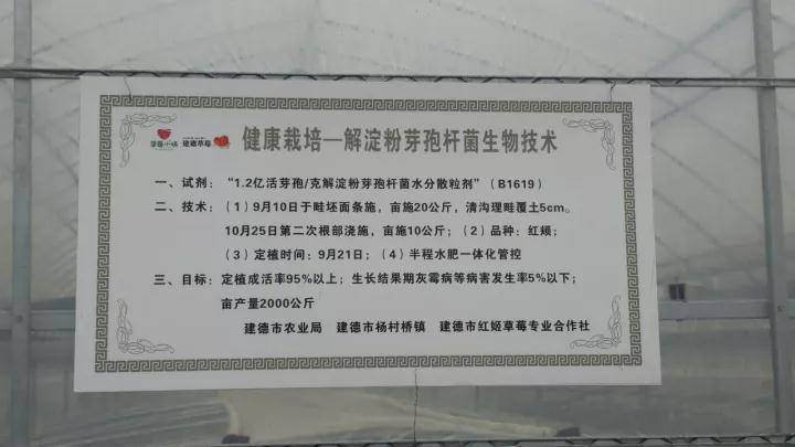 "院士"將助力草莓健康栽培模式發(fā)展