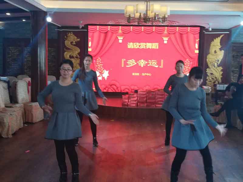 公司召開2017年度總結(jié)表彰大會(huì)